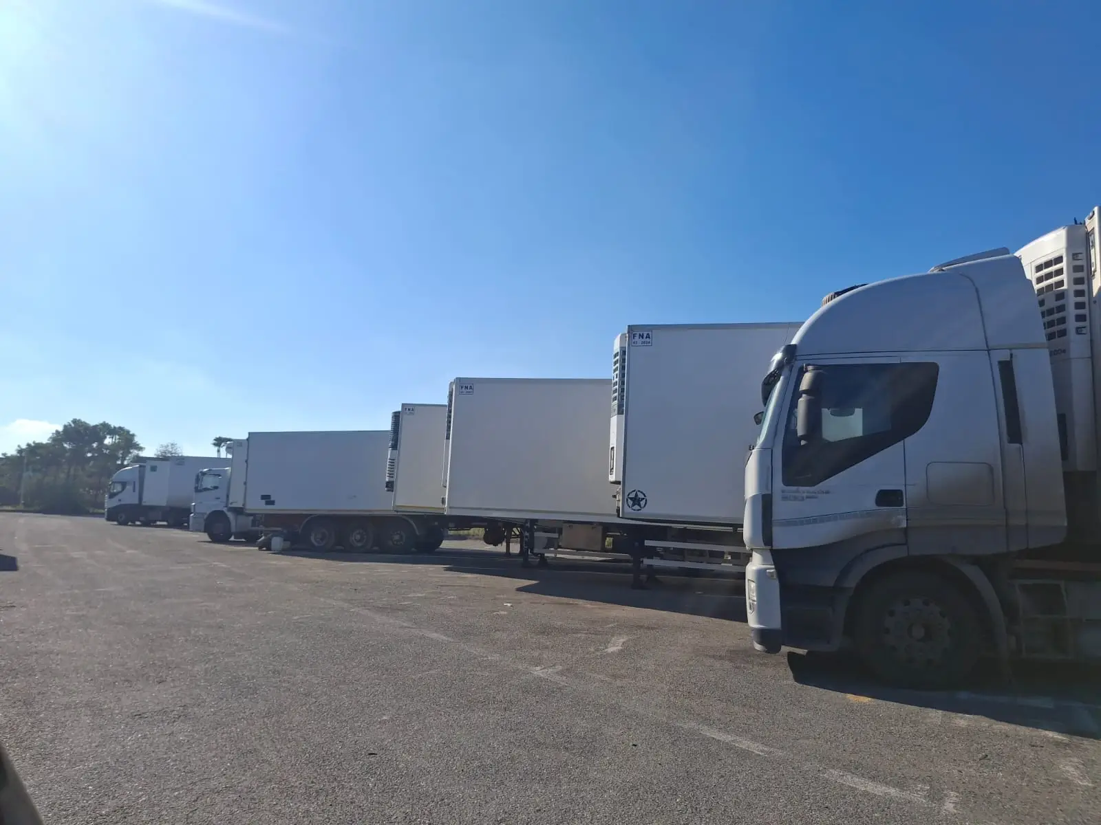 Camion della flotta EuroTrasporti per trasporto merci in Sicilia - mezzo 8
